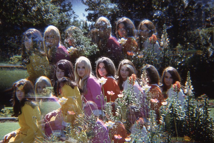 HoneyLTDPickerellslides003PRESS